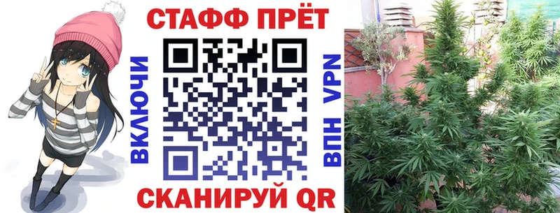 Канабис Павловская
