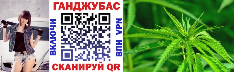 где купить наркотик  Павловская  Марихуана Amnesia 
